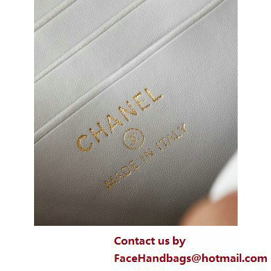 Chanel Lambskin, Resin  &  Gold-Tone Metal Clutch with Chain Bag AP3820 Light Gray 2025